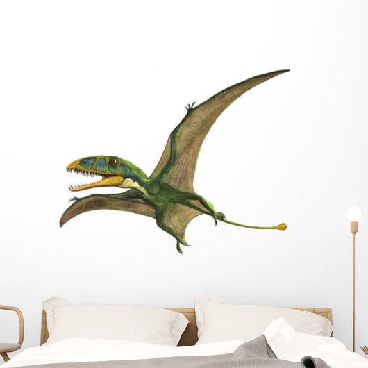 Dimorphodon Macronyx Prehistoric Era Wall Decal