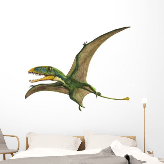 Dimorphodon Macronyx Prehistoric Era Wall Decal