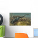 Diplocaulus Salamandroides Prehistoric Animal Wall Decal