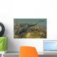 Diplocaulus Salamandroides Prehistoric Animal Wall Decal