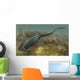 Diplocaulus Salamandroides Prehistoric Animal Wall Decal