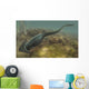 Diplocaulus Salamandroides Prehistoric Animal Wall Decal