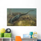 Diplocaulus Salamandroides Prehistoric Animal Wall Decal