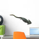 Illustration Prehistoric Era Diplocaulus Wall Decal