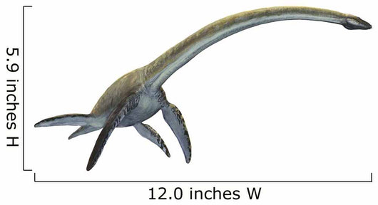 Elasmosaurus Platyurus Prehistoric Dinosaur Wall Decal