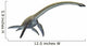 Elasmosaurus Platyurus Prehistoric Dinosaur Wall Decal