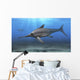 Eurhinosaurus Longirostris Swimming Prehistoric Wall Decal