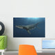 Kronosaurus Queenslandicus Swimming Prehistoric Wall Decal