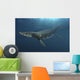 Kronosaurus Queenslandicus Swimming Prehistoric Wall Decal