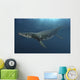 Kronosaurus Queenslandicus Swimming Prehistoric Wall Decal