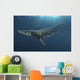 Kronosaurus Queenslandicus Swimming Prehistoric Wall Decal