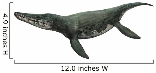 Illustration Kronosaurus from Prehistoric Wall Decal
