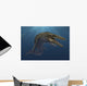 Mosasaurus Hoffmanni Swimming Prehistoric Wall Decal