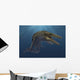 Mosasaurus Hoffmanni Swimming Prehistoric Wall Decal