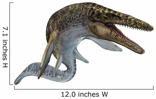 Illustration Mosasaurus from Cretaceous Wall Decal