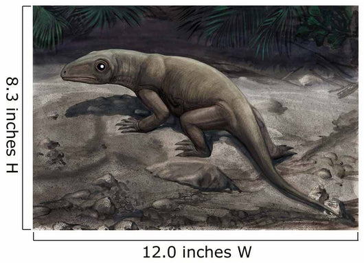 Illustration Nikkasaurus Tatarinovi Wall Decal