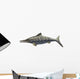 Illustration Prehistoric Ophthalmosaurus Discus Wall Decal