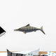 Illustration Prehistoric Ophthalmosaurus Discus Wall Decal