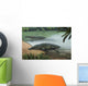 Two Prehistoric Platyoposaurus Stuckenbergi Wall Decal