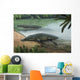 Two Prehistoric Platyoposaurus Stuckenbergi Wall Decal