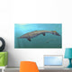 Plotosaurus Bennisoni Swimming Prehistoric Wall Decal