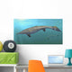 Plotosaurus Bennisoni Swimming Prehistoric Wall Decal