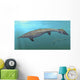 Plotosaurus Bennisoni Swimming Prehistoric Wall Decal