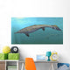 Plotosaurus Bennisoni Swimming Prehistoric Wall Decal