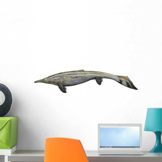 Illustration Plotosaurus from Cretaceous Wall Decal