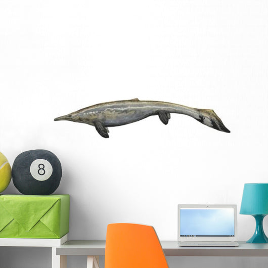 Illustration Plotosaurus from Cretaceous Wall Decal