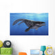 Prognathodon Saturator Swimming Prehistoric Wall Decal