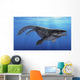 Prognathodon Saturator Swimming Prehistoric Wall Decal