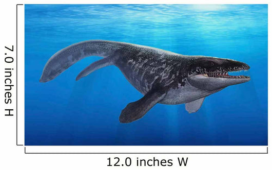 Prognathodon Saturator Swimming Prehistoric Wall Decal