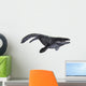 Illustration Prognathodon from Prehistoric Wall Decal