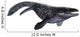Illustration Prognathodon from Prehistoric Wall Decal