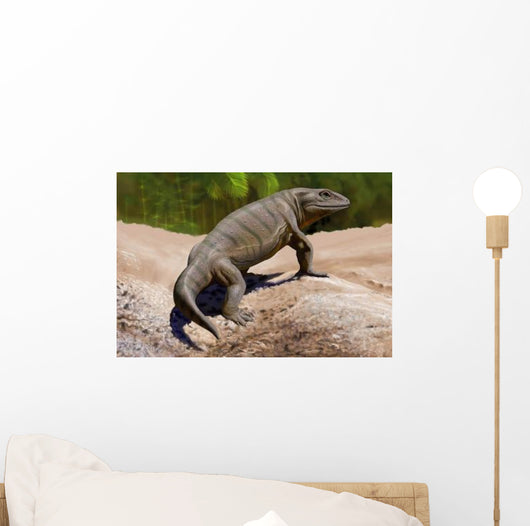 Seymouria Baylorensis from Paleozoic Wall Decal
