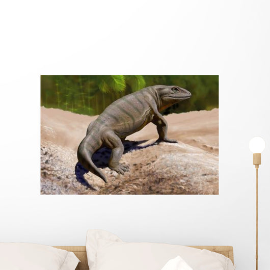 Seymouria Baylorensis from Paleozoic Wall Decal