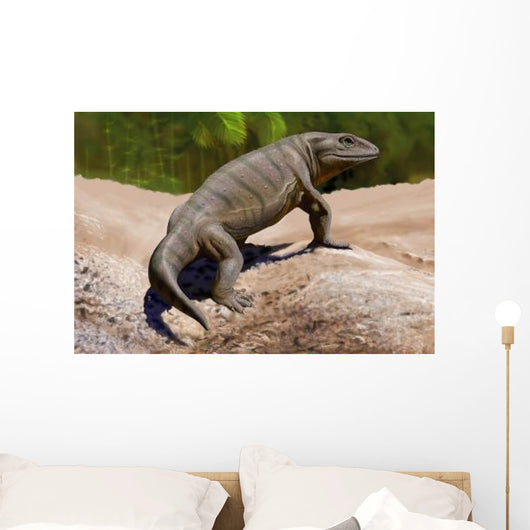 Seymouria Baylorensis from Paleozoic Wall Decal