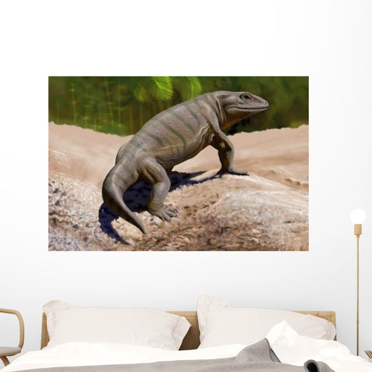 Seymouria Baylorensis from Paleozoic Wall Decal