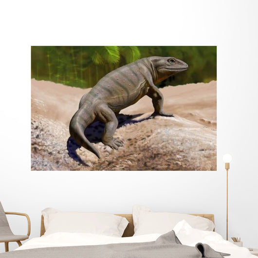 Seymouria Baylorensis from Paleozoic Wall Decal