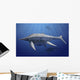 Shonisaurus Popularis Swimming Prehistoric Wall Decal