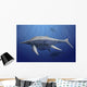 Shonisaurus Popularis Swimming Prehistoric Wall Decal
