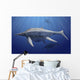 Shonisaurus Popularis Swimming Prehistoric Wall Decal