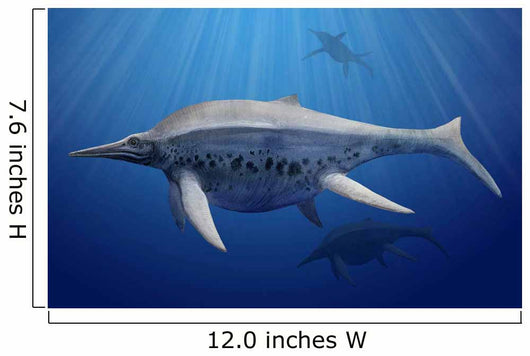 Shonisaurus Popularis Swimming Prehistoric Wall Decal