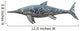 Temnodontosaurus Burgundiae from Early Wall Decal