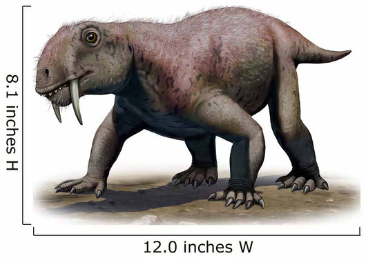 Tiarajudens Eccentricus from Paleozoic Wall Decal