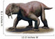 Tiarajudens Eccentricus from Paleozoic Wall Decal