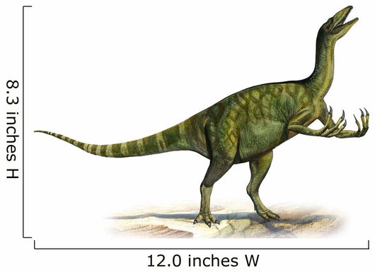 Deinocheirus Mirificus Prehistoric Era Wall Decal