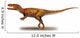 Afrovenator Abakensis Prehistoric Era Wall Decal