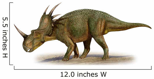 Styracosaurus Albertensis Prehistoric Era Wall Decal